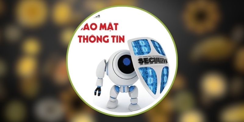 Quyền lợi của người dùng theo chính sách ZO789